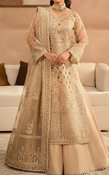 Ayzel Tan Organza Suit | Pakistani Embroidered Chiffon Dresses USA- Image 1