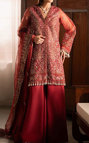 Ayzel Wine Red Organza Suit | Pakistani Embroidered Chiffon Dresses USA- Image 1