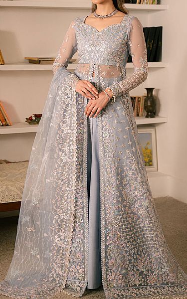 Ayzel Cadet Grey Organza Suit | Pakistani Embroidered Chiffon Dresses USA- Image 1