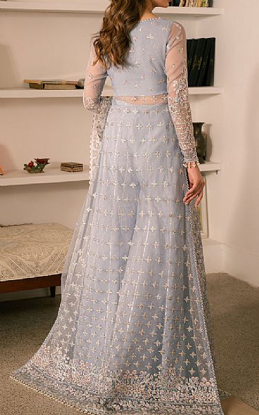 Ayzel Cadet Grey Organza Suit | Pakistani Embroidered Chiffon Dresses USA- Image 2