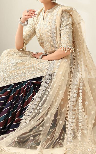 Baroque Tan Net Suit | Pakistani Embroidered Chiffon Dresses USA- Image 3