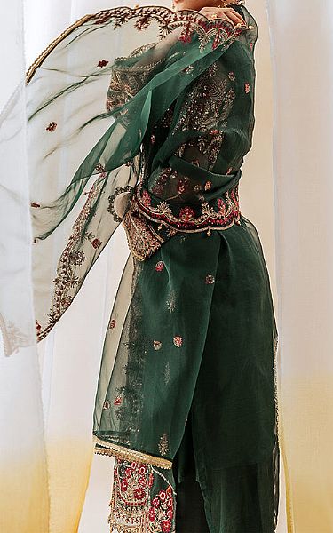 Beechtree Green Organza Suit | Pakistani Embroidered Chiffon Dresses- Image 2