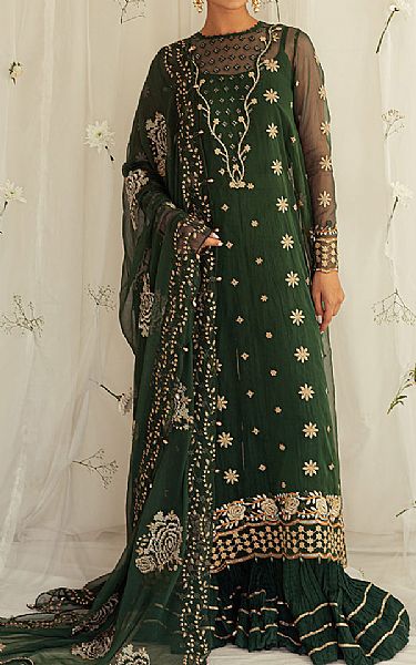 Cross Stitch Green Organza Suit | Pakistani Embroidered Chiffon Dresses- Image 1
