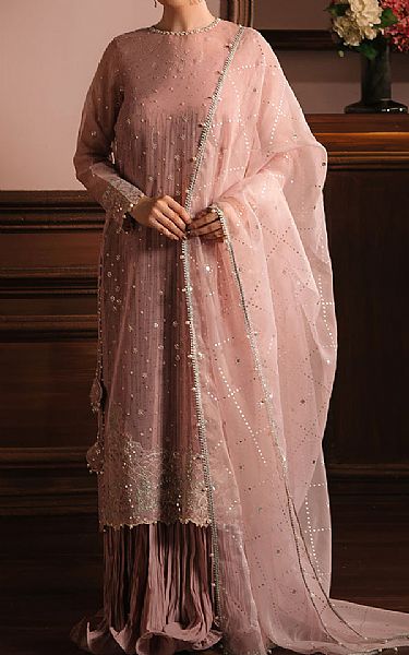 Cross Stitch Rose Pink Net Suit | Pakistani Embroidered Chiffon Dresses USA- Image 1