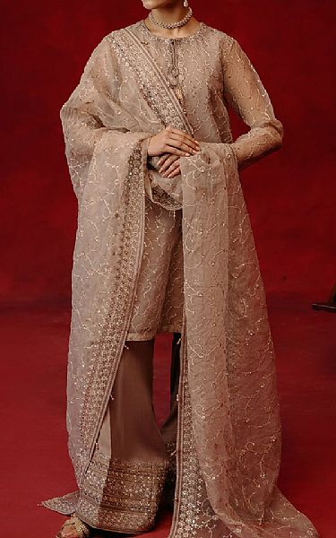 Cross Stitch Pale Taupe Organza Suit | Pakistani Embroidered Chiffon Dresses- Image 1