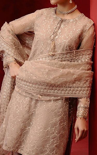 Cross Stitch Pale Taupe Organza Suit | Pakistani Embroidered Chiffon Dresses- Image 2