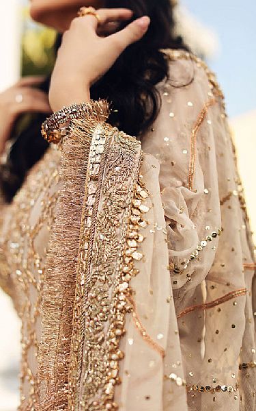  Beige Crinkle Chiffon Suit | Pakistani Wedding Dresses- Image 4