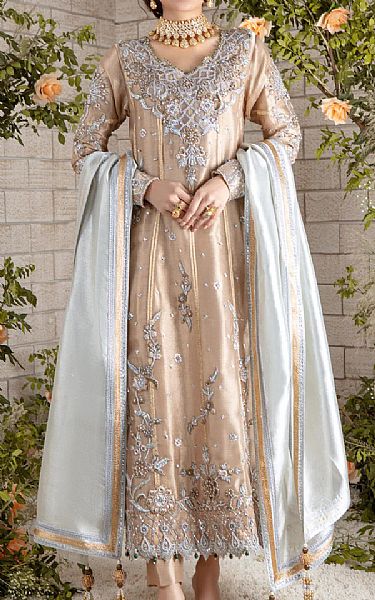  Tan Tissue Suit | Pakistani Party Wear Dresses- Image 1