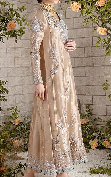  Tan Tissue Suit | Pakistani Party Wear Dresses- Image 2