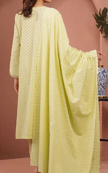Edenrobe Green Mist Cambric Suit | Pakistani Lawn Dress in USA- Image 2