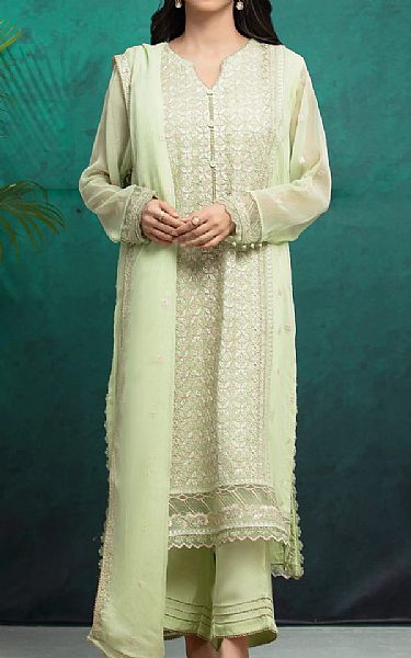 Edenrobe Green Mist Chiffon Suit | Pakistani Embroidered Chiffon Dresses USA- Image 1