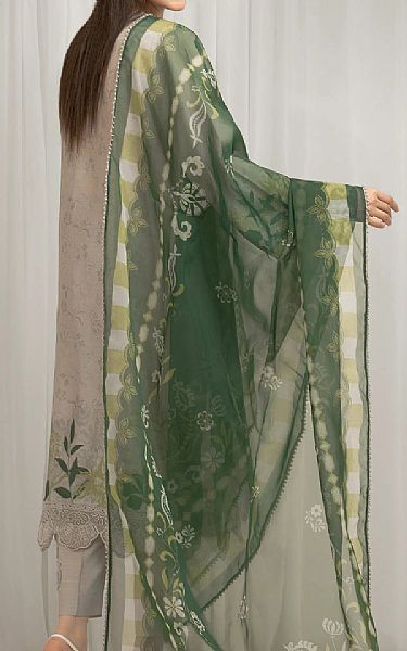Edenrobe Pastel Grey/Sage Raw Silk Suit | Pakistani Embroidered Chiffon Dresses USA- Image 2