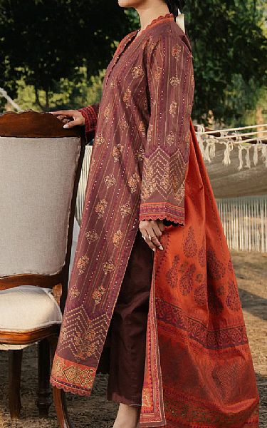 Edenrobe Congo Brown Cambric Suit | Pakistani Lawn Dress in USA- Image 2