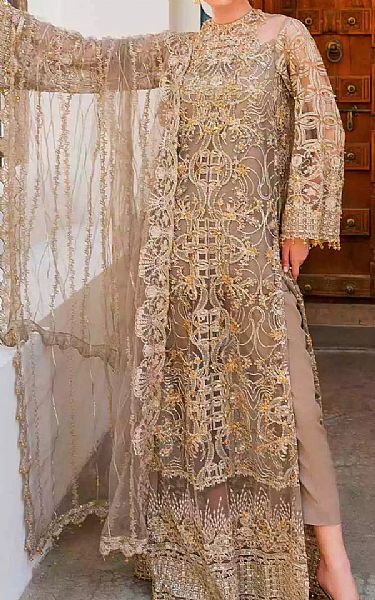 Elaf Beige/Golden Net Suit | Pakistani Embroidered Chiffon Dresses- Image 1