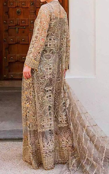Elaf Beige/Golden Net Suit | Pakistani Embroidered Chiffon Dresses- Image 2