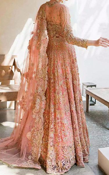 Elaf Peach Net Suit | Pakistani Embroidered Chiffon Dresses- Image 2