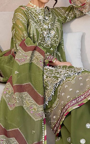 Elaf Pistachio Green Organza Suit | Pakistani Embroidered Chiffon Dresses USA- Image 2