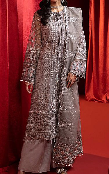 Ellena Grey Net Suit | Pakistani Embroidered Chiffon Dresses- Image 1
