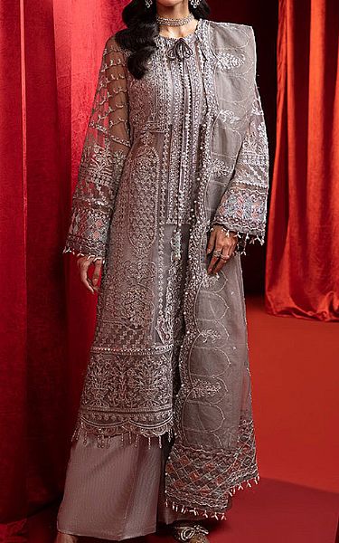 Ellena Grey Net Suit | Pakistani Embroidered Chiffon Dresses USA- Image 1