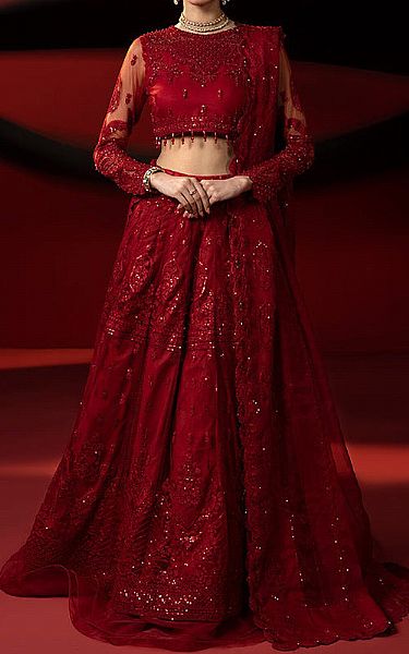 Ellena Scarlet Net Suit | Pakistani Embroidered Chiffon Dresses- Image 1