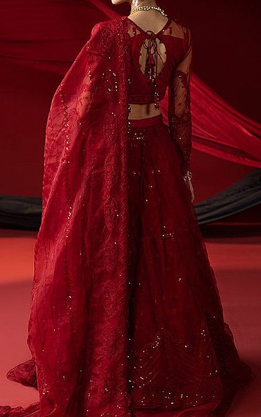 Ellena Scarlet Net Suit | Pakistani Embroidered Chiffon Dresses- Image 2