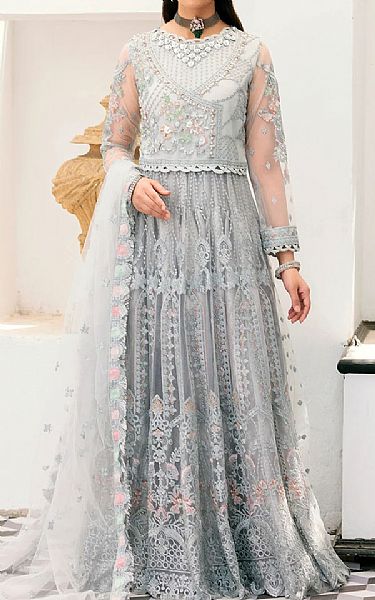 Emaan Adeel Light Grey Net Suit | Pakistani Embroidered Chiffon Dresses- Image 1