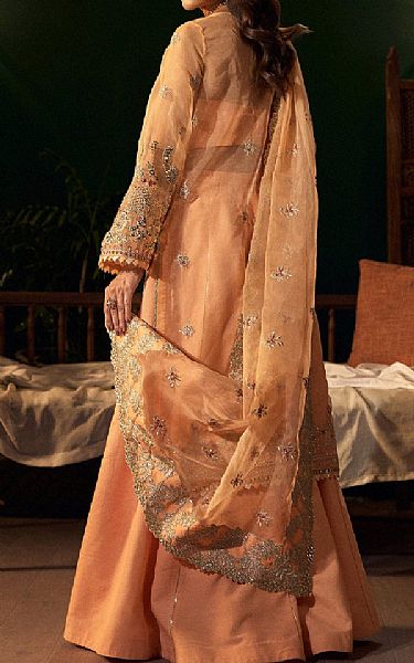Fabiha Fatima Peach Organza Suit | Pakistani Embroidered Chiffon Dresses USA- Image 2