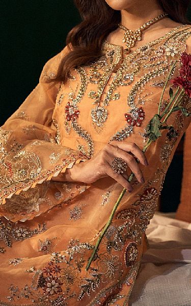 Fabiha Fatima Peach Organza Suit | Pakistani Embroidered Chiffon Dresses USA- Image 3