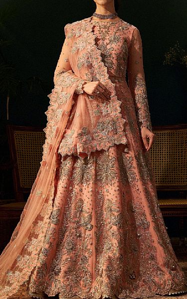 Fabiha Fatima Peach Net Suit | Pakistani Embroidered Chiffon Dresses USA- Image 1