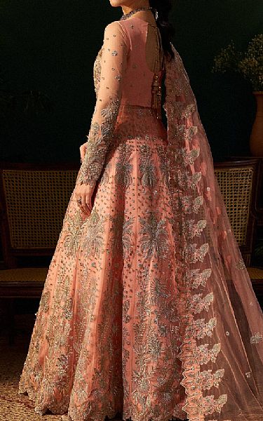 Fabiha Fatima Peach Net Suit | Pakistani Embroidered Chiffon Dresses USA- Image 2
