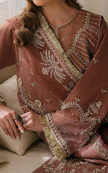 Fabiha Fatima Copper Rust Net Suit | Pakistani Embroidered Chiffon Dresses USA- Image 3