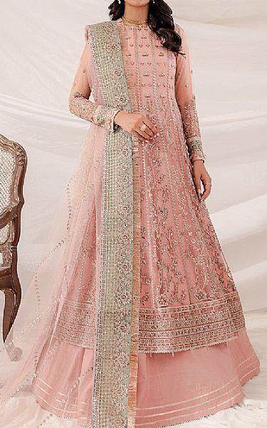 Farasha Pink Net Suit | Pakistani Embroidered Chiffon Dresses USA- Image 1