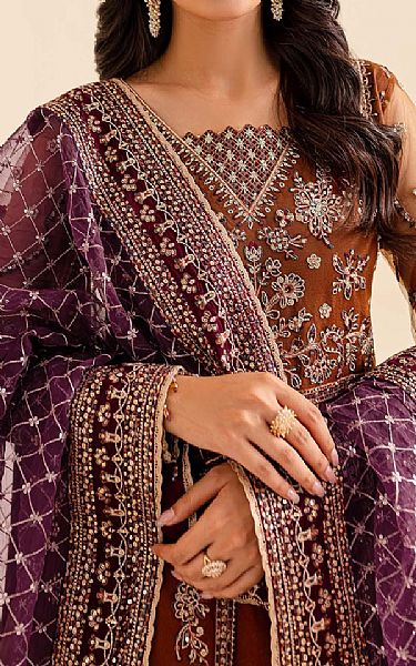 Farasha Brown Net Suit | Pakistani Embroidered Chiffon Dresses USA- Image 3