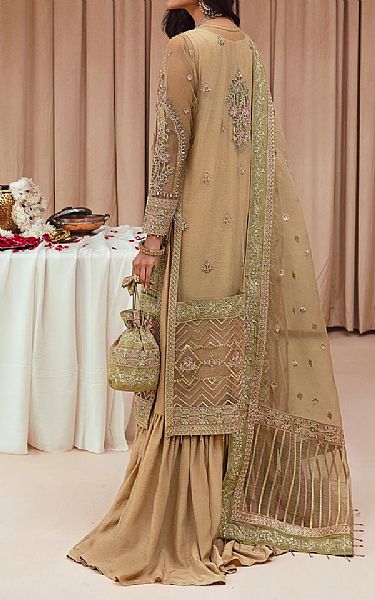 Tan Net Suit | Farasha Pakistani Chiffon Dresses
