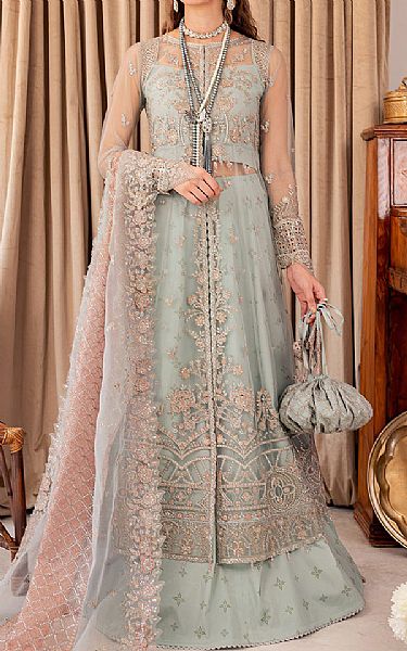 Farasha Pastel Grey Net Suit | Pakistani Embroidered Chiffon Dresses- Image 1