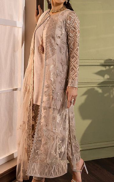 Flossie Pinkish Grey Net Suit | Pakistani Embroidered Chiffon Dresses- Image 1