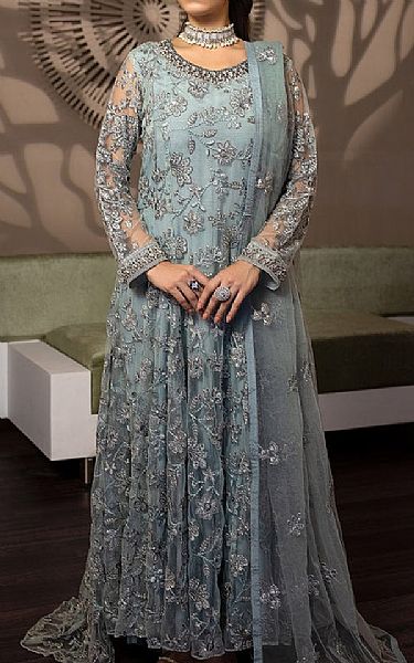 Flossie Regent Grey Net Suit | Pakistani Embroidered Chiffon Dresses- Image 1