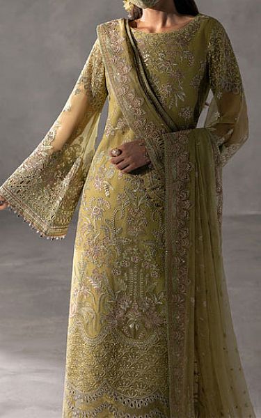Flossie Light Green Chiffon Suit | Pakistani Embroidered Chiffon Dresses USA- Image 1