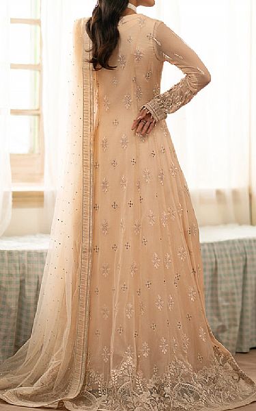 Flossie Mandys Pink Chiffon Suit | Pakistani Embroidered Chiffon Dresses USA- Image 2