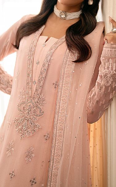 Flossie Mandys Pink Chiffon Suit | Pakistani Embroidered Chiffon Dresses USA- Image 3
