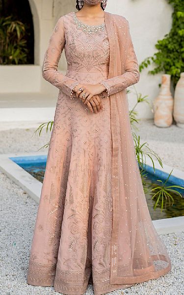 Flossie Cavern Pink Organza Suit | Pakistani Embroidered Chiffon Dresses USA- Image 1