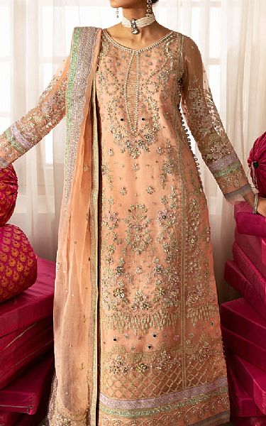 Gulaal Peach Organza Suit | Pakistani Embroidered Chiffon Dresses USA- Image 2
