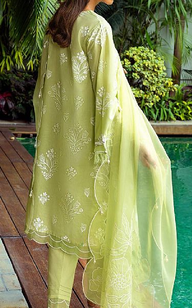 Gul Ahmed Pale Olive Lawn Suit | Pakistani Lawn Dress in USA- Image 2
