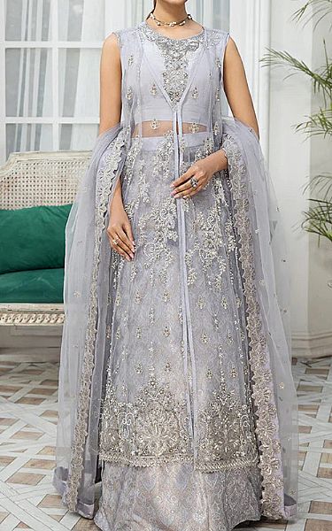 House Of Nawab Light Grey Net Suit | Pakistani Wedding Dresses- Image 1