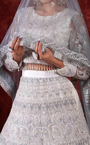 House Of Nawab Grey Net Suit | Pakistani Embroidered Chiffon Dresses USA- Image 3