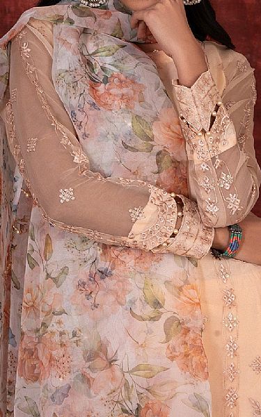 House Of Nawab Peach Organza Suit | Pakistani Embroidered Chiffon Dresses USA- Image 3