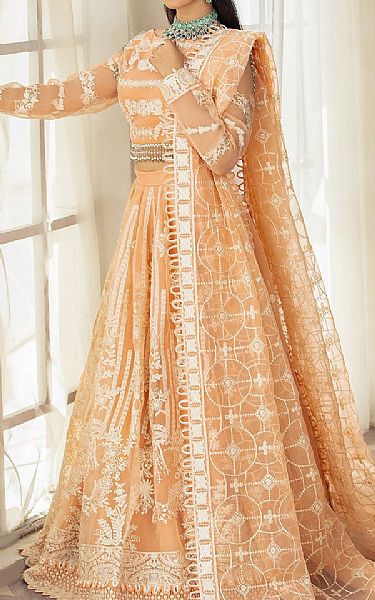 House Of Nawab Peach Organza Suit | Pakistani Embroidered Chiffon Dresses USA- Image 1