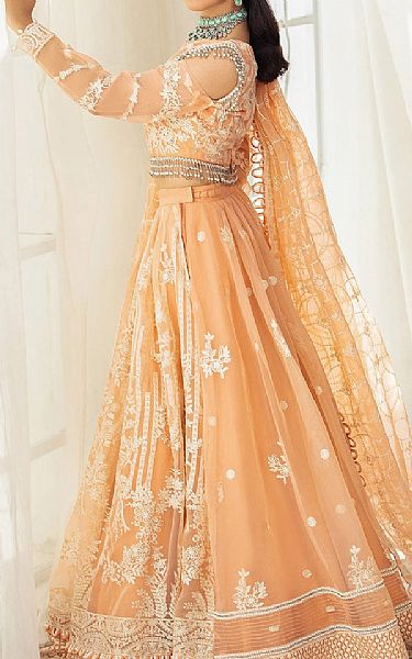 House Of Nawab Peach Organza Suit | Pakistani Embroidered Chiffon Dresses USA- Image 2