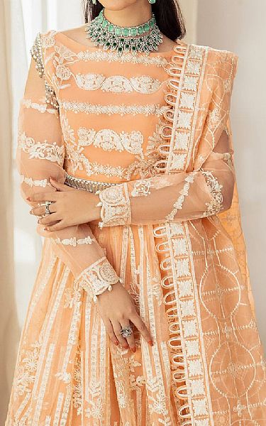 House Of Nawab Peach Organza Suit | Pakistani Embroidered Chiffon Dresses USA- Image 3