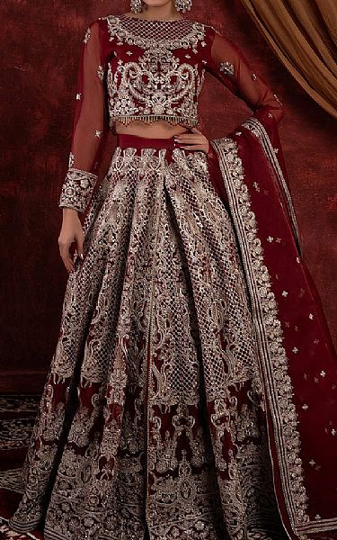House Of Nawab Rosewood Organza Suit | Pakistani Embroidered Chiffon Dresses USA- Image 1